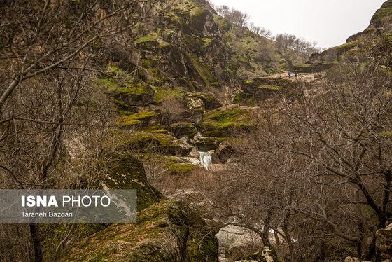 ایران زیباست | مخمل کوه در گستره زاگرس - لرستان