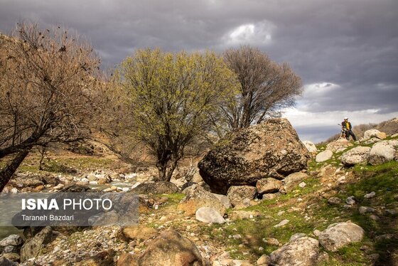 ایران زیباست | مخمل کوه در گستره زاگرس - لرستان