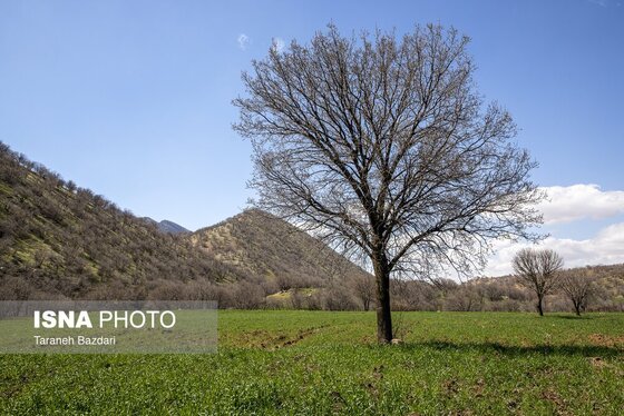 ایران زیباست | مخمل کوه در گستره زاگرس - لرستان