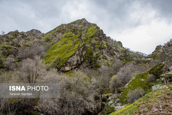 ایران زیباست | مخمل کوه در گستره زاگرس - لرستان