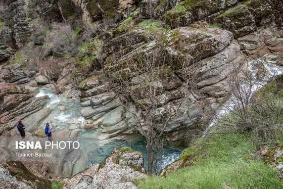 ایران زیباست | مخمل کوه در گستره زاگرس - لرستان