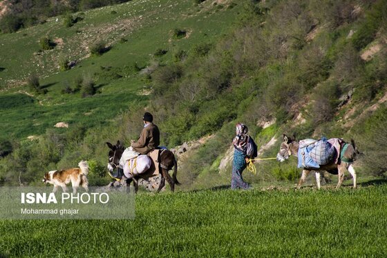 ایران زیباست | ارتفاعات برفچال؛ شهرستان مینودشت