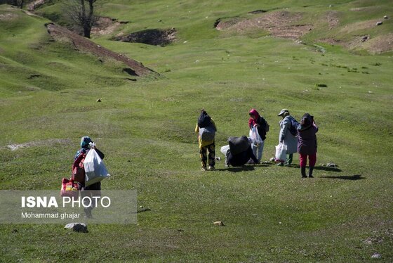 ایران زیباست | ارتفاعات برفچال؛ شهرستان مینودشت