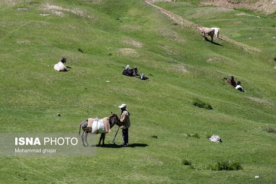 ایران زیباست | ارتفاعات برفچال؛ شهرستان مینودشت
