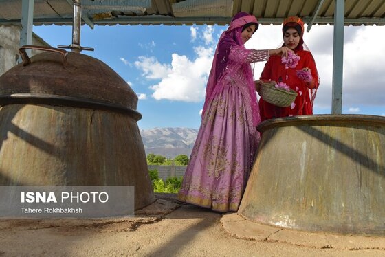 ایران زیباست | جشنواره گل و گلابگیری میمند در استان فارس