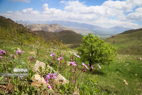 ایران زیباست | طبیعت منطقه یومری