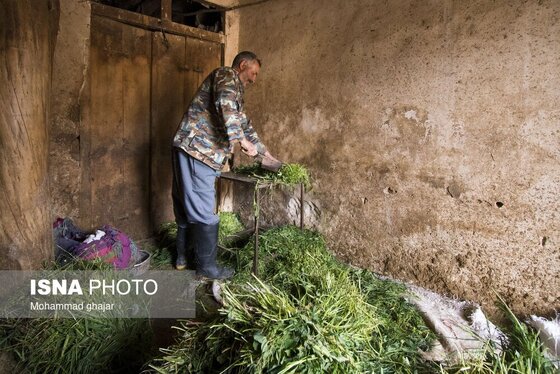 ایران زیباست | روستای گردشگری روئین خراسان شمالی