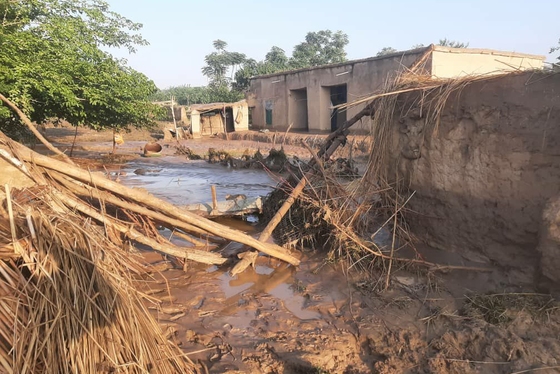 سیل در ولایت غور افغانستان جان ۵۰ نفر را گرفت + فیلم و عکس