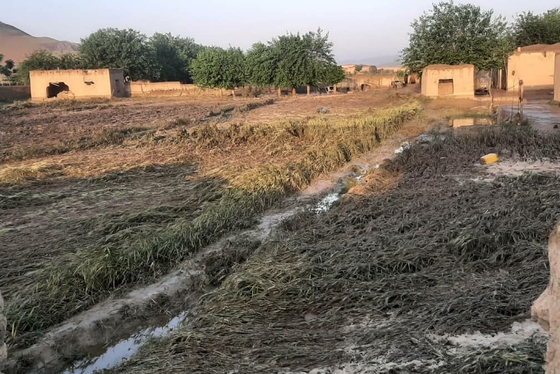 سیل در ولایت غور افغانستان جان ۵۰ نفر را گرفت + فیلم و عکس