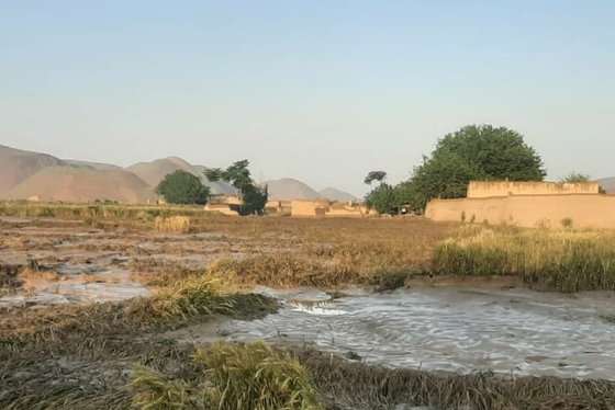 سیل در ولایت غور افغانستان جان ۵۰ نفر را گرفت + فیلم و عکس