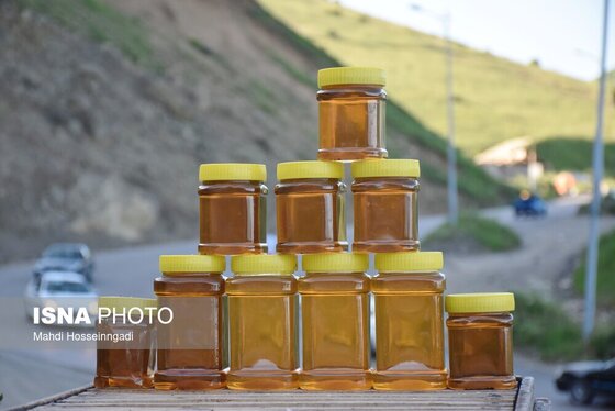 ایران زیباست | زنبورستان‌های آستارا