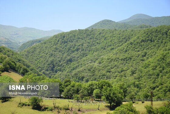 ایران زیباست | زنبورستان‌های آستارا