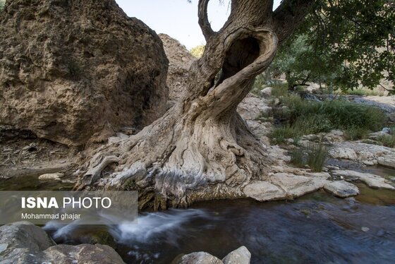 ایران زیباست | مجموعه آبشارهای گریت خرم آباد - استان لرستان