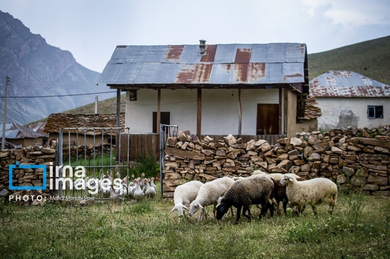 ایران زیباست | ییلاق در کوهستان