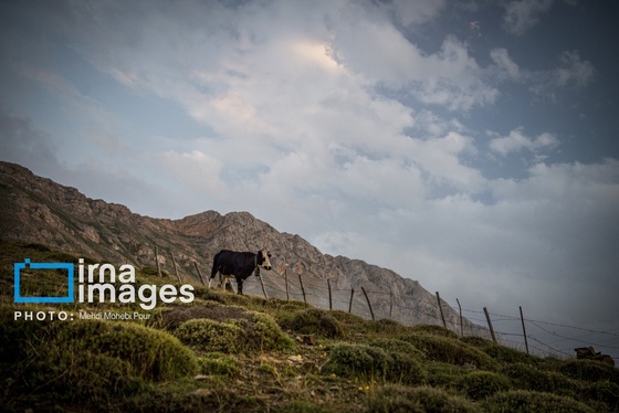 ایران زیباست | ییلاق در کوهستان
