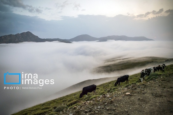 ایران زیباست | ییلاق در کوهستان