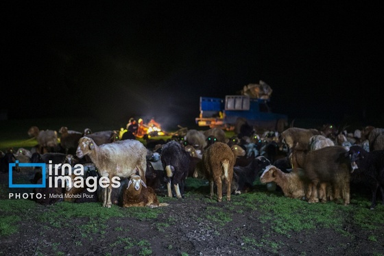 ایران زیباست | ییلاق در کوهستان