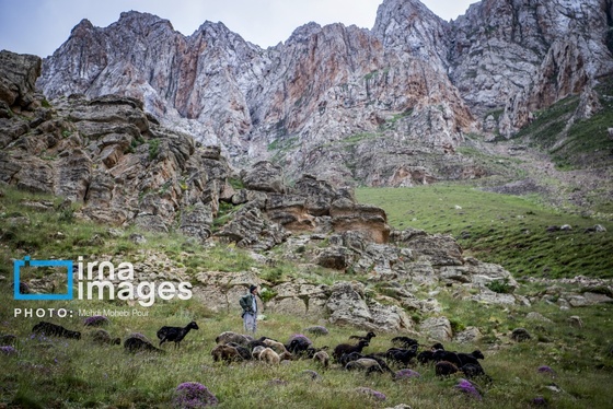 ایران زیباست | ییلاق در کوهستان