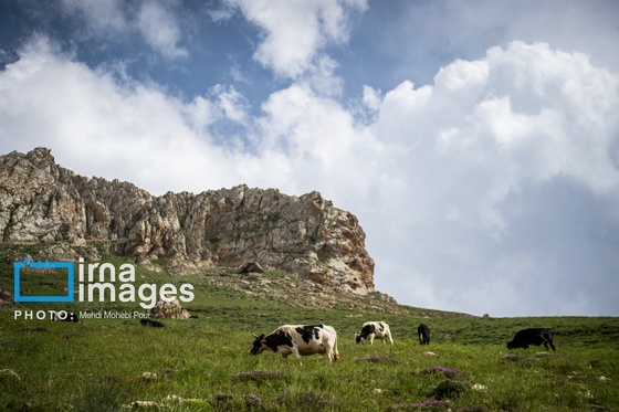 ایران زیباست | ییلاق در کوهستان