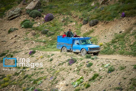 ایران زیباست | ییلاق در کوهستان