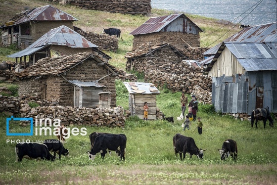 ایران زیباست | ییلاق در کوهستان