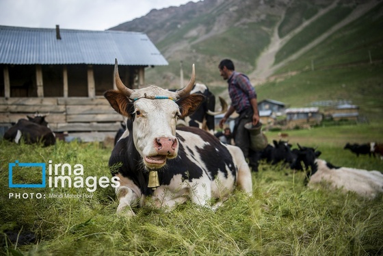 ایران زیباست | ییلاق در کوهستان