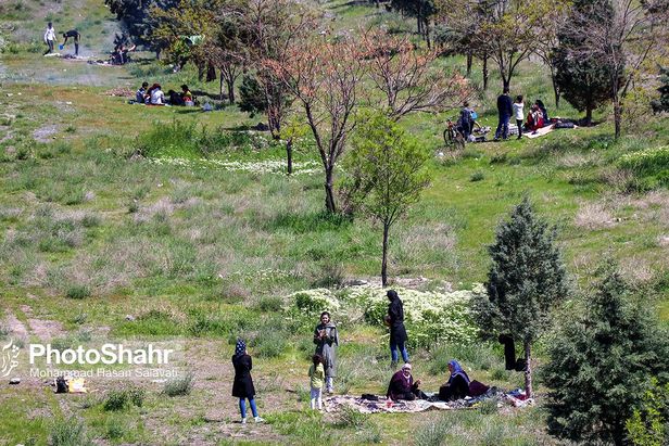 پیک‌نیک با کرونا / بی توجهی شهروندان به فاصله گذاری اجتماعی و هجوم به ییلاقات طرقبه و شاندیز و ارتفاعات جنوبی مشهد