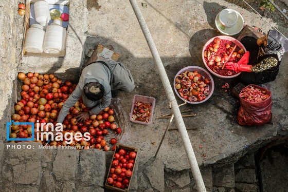 ایران زیباست | برداشت انار در «هورامان»