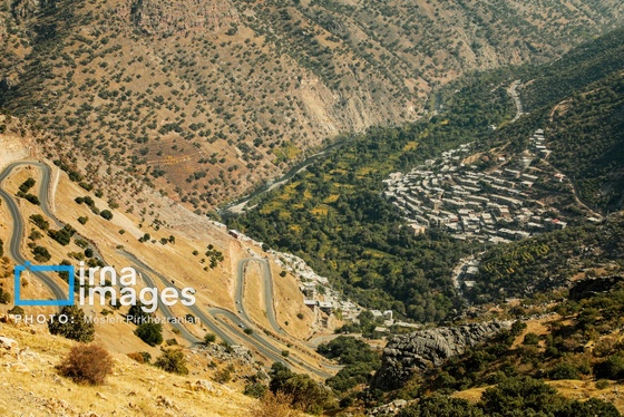 ایران زیباست | برداشت انار در «هورامان»