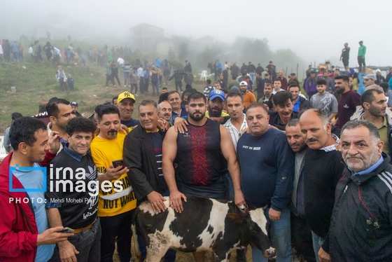 ایران زیباست | کشتی لوچو