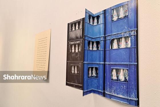 درنگی بر نمایشگاه «عکاسی، مرگ ماهی و چند مسئله دیگر»