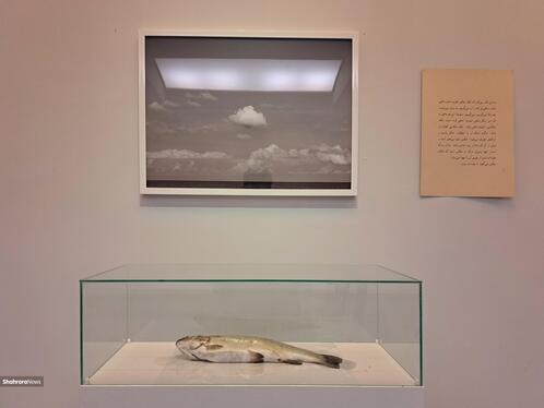 درنگی بر نمایشگاه «عکاسی، مرگ ماهی و چند مسئله دیگر»