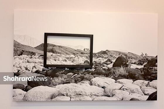 درنگی بر نمایشگاه «عکاسی، مرگ ماهی و چند مسئله دیگر»