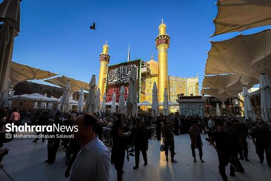 مسیر عاشقی | نجف اشرف