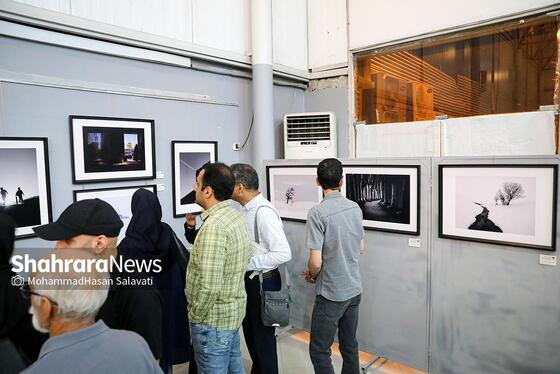 گزارش تصویری | هشتمین اکسپوی سراسری عکس همدم