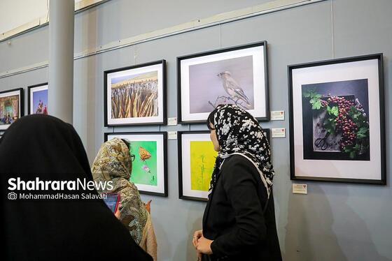 گزارش تصویری | هشتمین اکسپوی سراسری عکس همدم