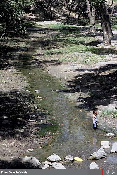 بوستان وكيل آباد آماده پذيرايي از زائران و مجاوران