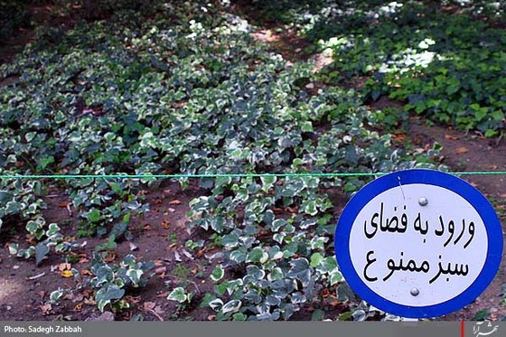 بوستان وكيل آباد آماده پذيرايي از زائران و مجاوران
