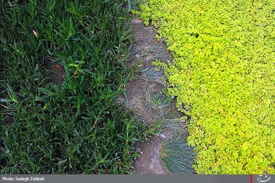 بوستان وكيل آباد آماده پذيرايي از زائران و مجاوران