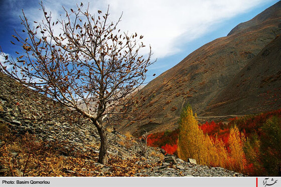 پاييز زیبایی ها ...