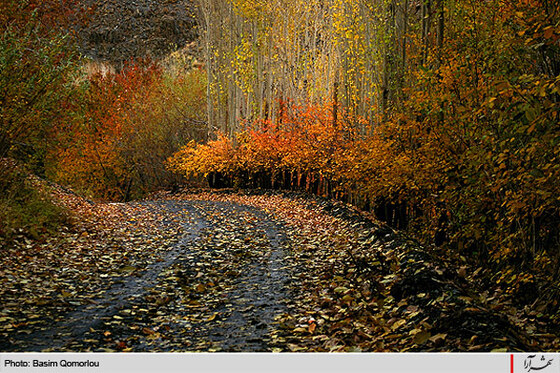 پاييز زیبایی ها ...