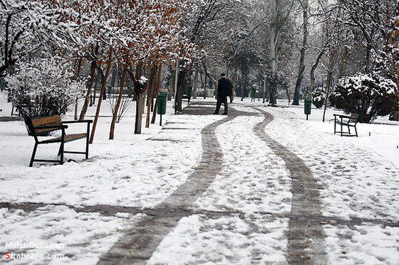 بارش اولین برف زمستانی در مشهد 