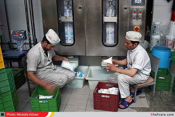 بسته بندی شیر پاستوریزه
