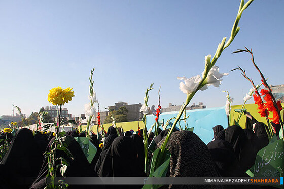 گلباران حرم مطهر رضوی