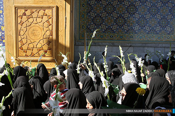 گلباران حرم مطهر رضوی