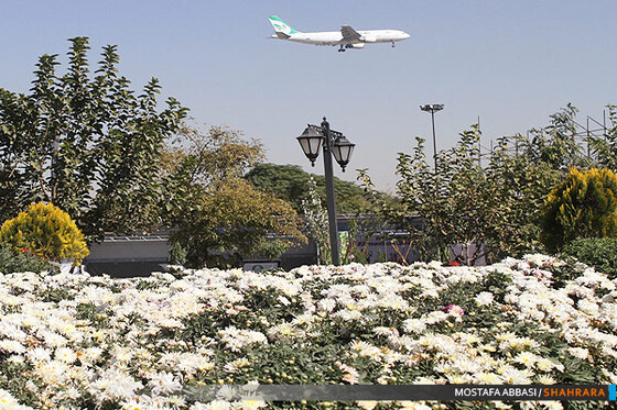 دومین جشنواره گلهای داودی در مشهد.
