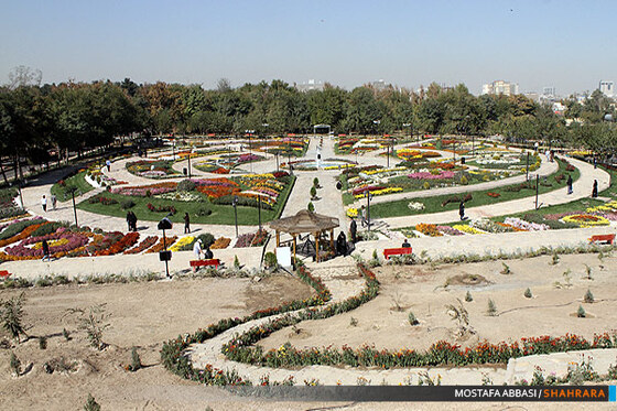 دومین جشنواره گلهای داودی در مشهد.