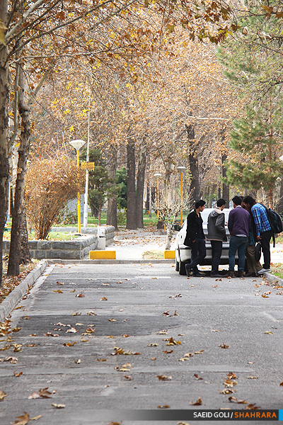 پاییز در کوچه های شهر