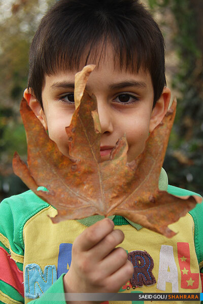 پاییز در کوچه های شهر