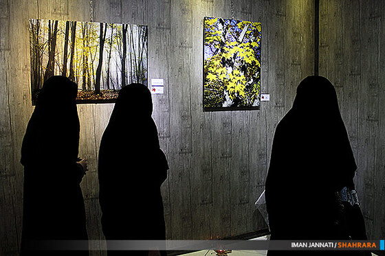 بعد سوم پاییز